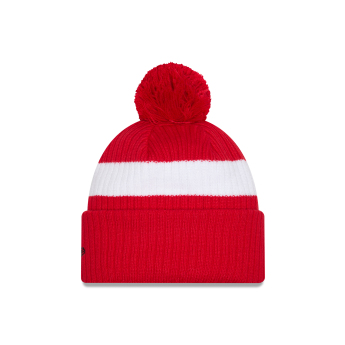 Detroit Red Wings zimske kape New Era Cold Winter