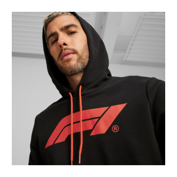 Formule 1 muška majica s kapuljačom Logo black 2024
