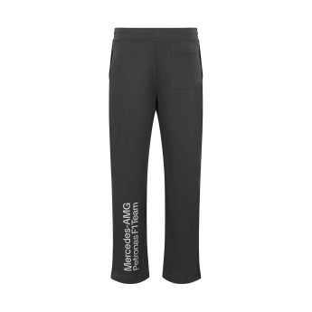 Mercedes AMG Petronas muške hlače Relaxed Fit grey F1 Team 2024