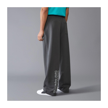 Mercedes AMG Petronas muške hlače Relaxed Fit grey F1 Team 2024