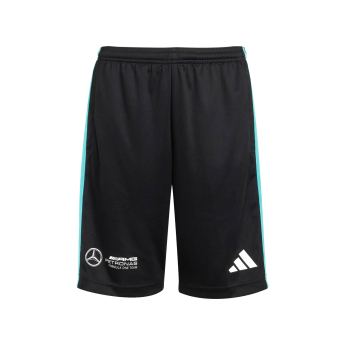 Mercedes AMG Petronas dječje kratke hlače DNA Logo black F1 Team 2025