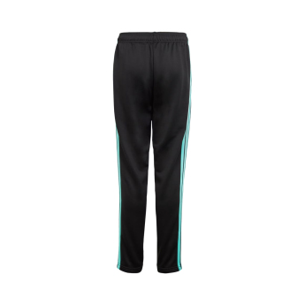 Mercedes AMG Petronas dječje hlače DNA Logo black F1 Team 2025