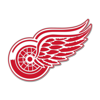 Detroit Red Wings značka Enamel Pin Jewelry Card