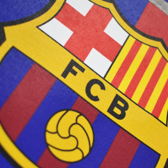 FC Barcelona dječja majica s kapuljačom Camp Nou grey