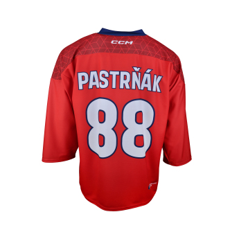Hokejaške reprezentacije hokejaški dres Czech republic David Pastrňák 2025/2026 CCM Fandres replica red