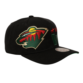 Minnesota Wild kapa za bejzbol Busted Pro Snapback black