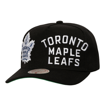Toronto Maple Leafs kapa za bejzbol Busted Pro Snapback black