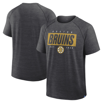 Boston Bruins muška majica Vital grey