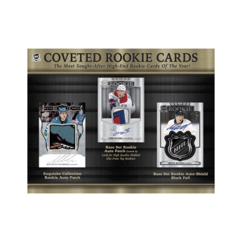 NHL boxovi NHL hokejske karte 2024-25 Upper Deck The CUP Hobby Box