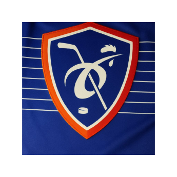 Hokejaške reprezentacije hokejaški dres France NIKE IIHF World Championships replica