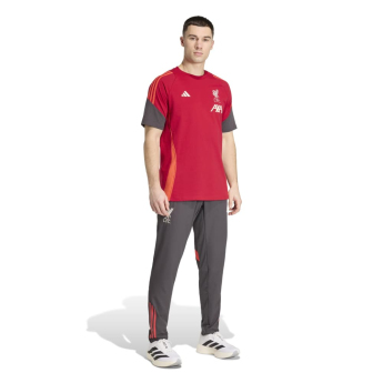 FC Liverpool muška majica Tiro Tee red