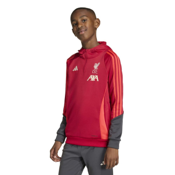 FC Liverpool dječja majica s kapuljačom Track red