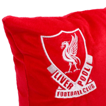 FC Liverpool jastuk Geo