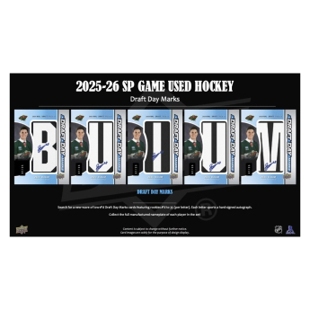 NHL boxovi NHL hokejske karte 2025-26 Upper Deck SP Game Used Hobby Box