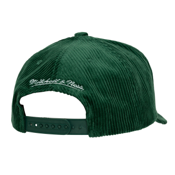 Anaheim Ducks kapa za bejzbol Arch Stamp Pro Snapback