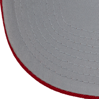 Detroit Red Wings kapa za bejzbol Tailsweeps Pro Snapback