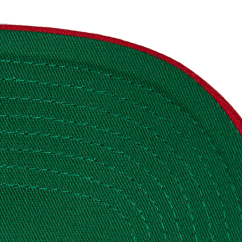 Ottawa Senators kapa za bejzbol Team Ground 2.0 Pro Snapback