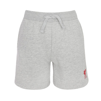 FC Liverpool dječje kratke hlače Sweat grey