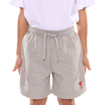 FC Liverpool dječje kratke hlače Sweat grey