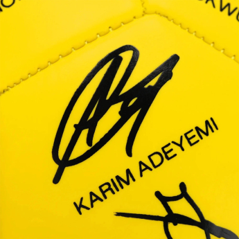 Borussia Dortmund nogometna lopta 25/26 Signature