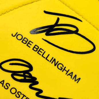 Borussia Dortmund nogometna lopta 25/26 Signature
