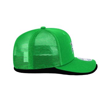 Dallas Stars kapa za bejzbol NEW ERA 970SS SP26 green
