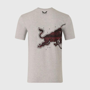 Red Bull Racing muška majica Graphic Bull grey F1 Team 2026