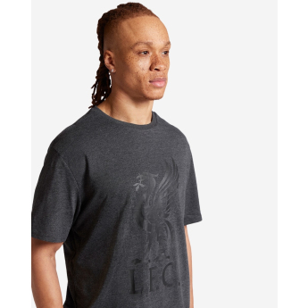 FC Liverpool muška majica Liverbird charcoal