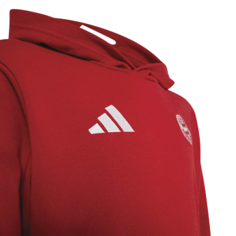 Bayern München dječja majica Hoodie