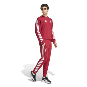 FC Liverpool muška majica DNA Sweat red