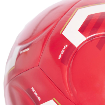 Bayern München Lopta Club Home