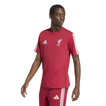 FC Liverpool muška majica DNA Tee active
