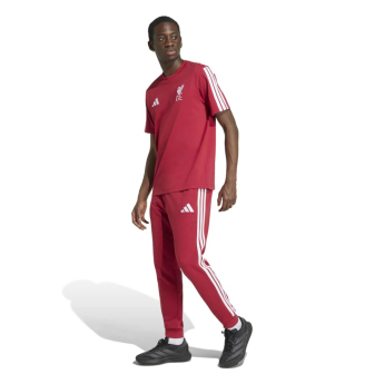 FC Liverpool muška majica DNA Tee active
