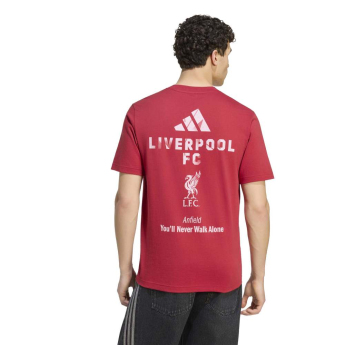 FC Liverpool muška majica Seasonal red