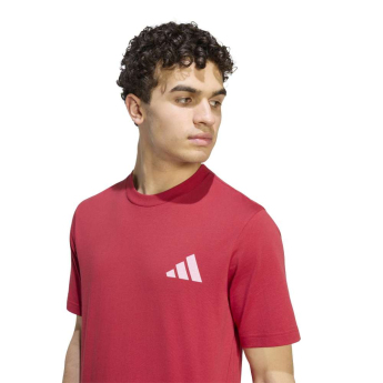 FC Liverpool muška majica Seasonal red