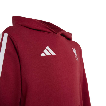 FC Liverpool dječja majica s kapuljačom Hoody active