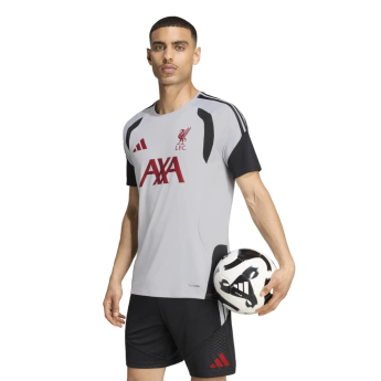 FC Liverpool nogometni dres Tiro grey
