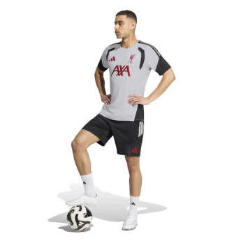 FC Liverpool nogometni dres Tiro grey