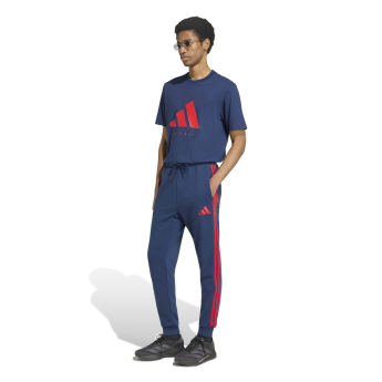 FC Arsenal muška majica DNA Graphic navy