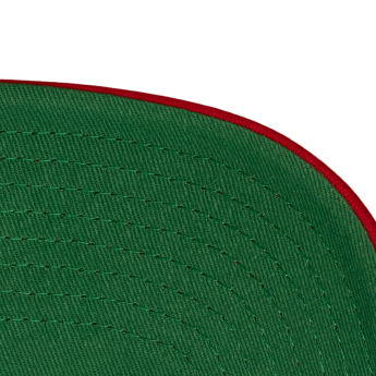 Florida Panthers kapa za bejzbol NHL Head Coach Trucker