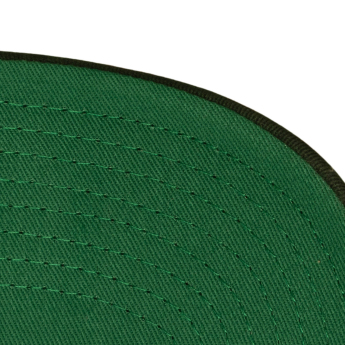 Minnesota Wild kapa za bejzbol NHL Head Coach Trucker