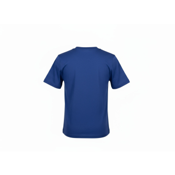Toronto Maple Leafs dječja majica Apro Wordmark Ss Ctn Tee