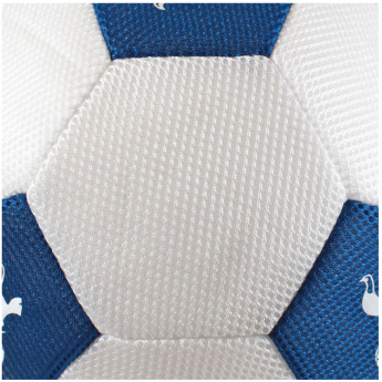 Tottenham Hotspur Lopta 14” Mesh Ball