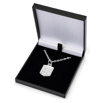 Aston Villa ogrlica s privjeskom Silver Plated Boxed Pendant CR