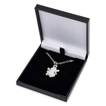 Aston Villa ogrlica s privjeskom Silver Plated Boxed Pendant LN