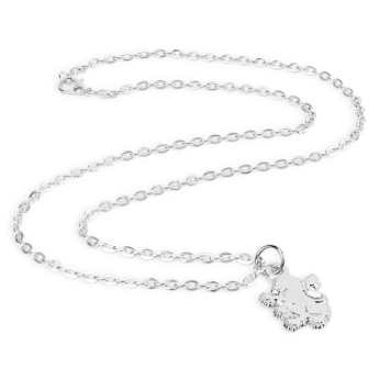 Aston Villa ogrlica s privjeskom Silver Plated Boxed Pendant LN