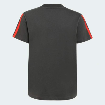 Audi F1 dječja majica DNA print grey F1 Team 2026