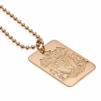 FC Liverpool ogrlica s identifikacijskom pločicom za psa Gold Plated Dog Tag & Chain