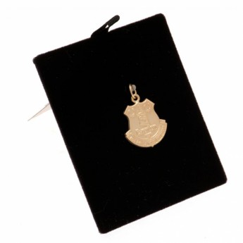 FC Everton zlatni privjesak 9ct Gold Pendant