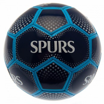 Tottenham Hotspur nogometna lopta Football DM